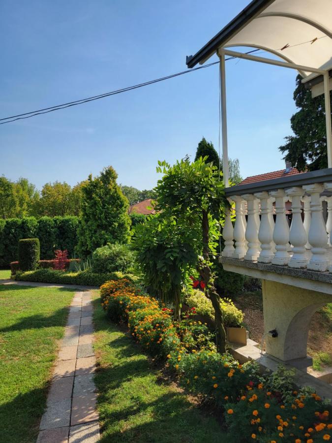 Green Garden Apartments Surčin Exteriér fotografie