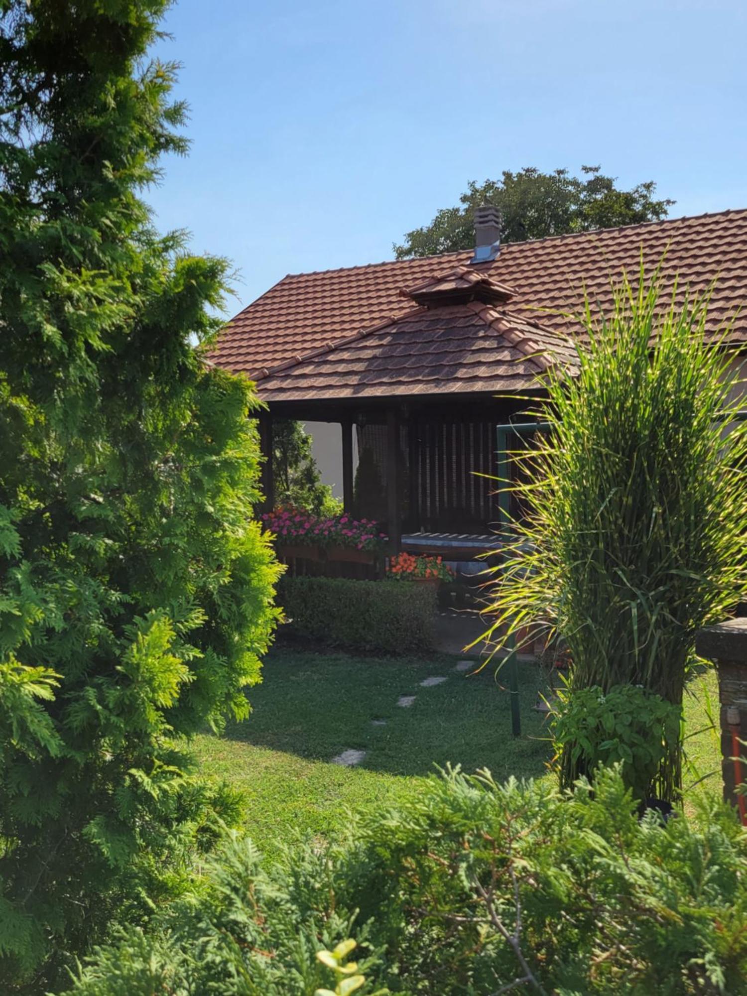 Green Garden Apartments Surčin Exteriér fotografie